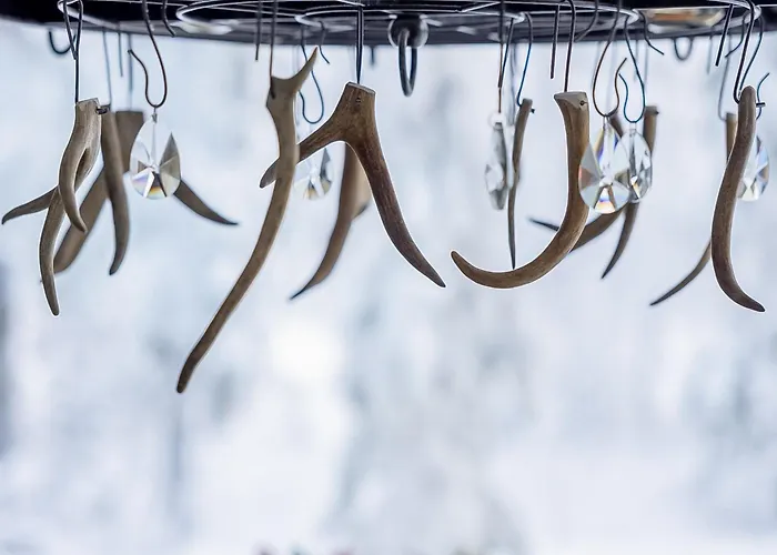 Semesterbostad Loma-saaga 3 By Interhome *