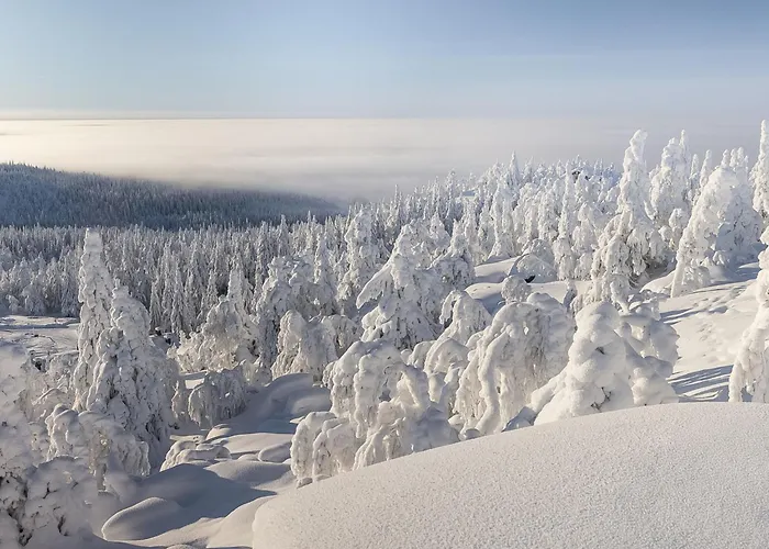 Loma-saaga 3 By Interhome Semesterbostad Syöte