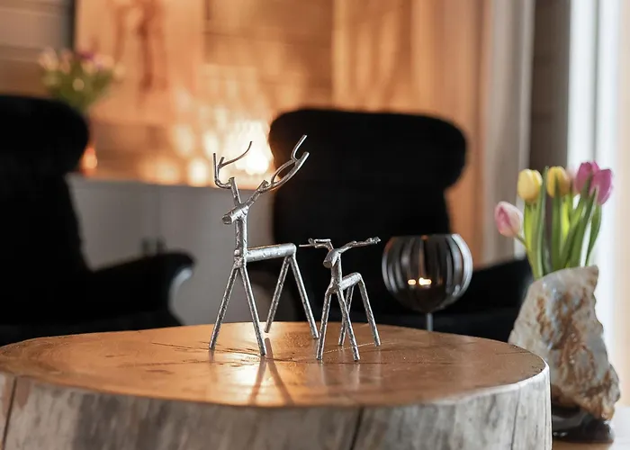 Semesterbostad Loma-saaga 3 By Interhome Syöte