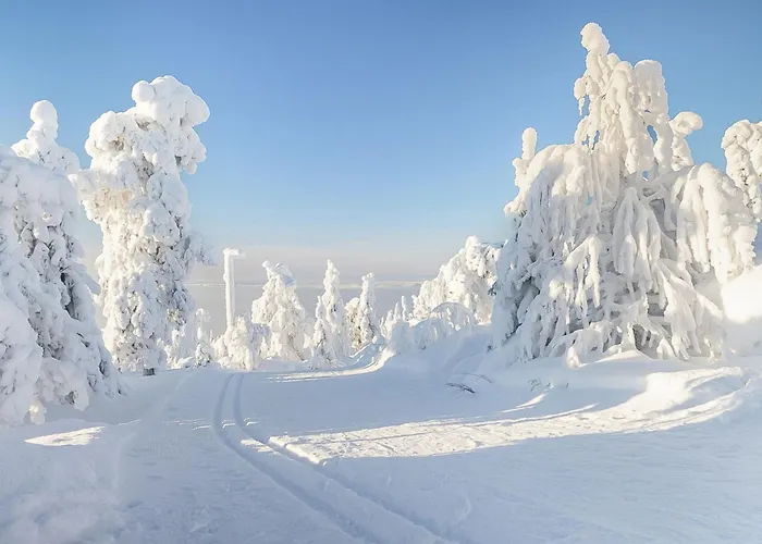 Semesterbostad Loma-saaga 3 By Interhome Syöte